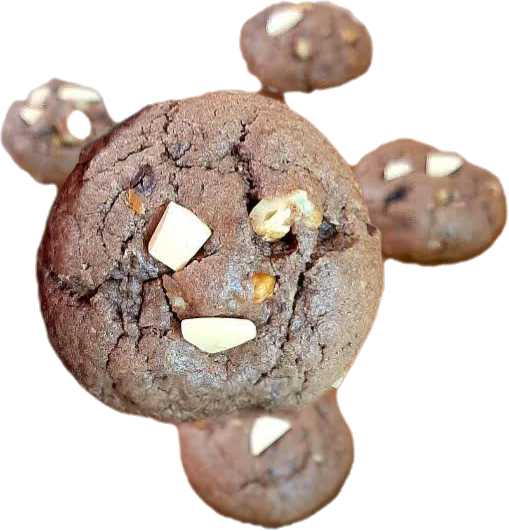 کوکی ۵۰ گرمی دبل چاکلت شکلات گردویی